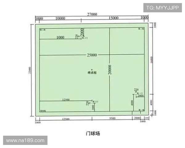 门球艺术从发球到战略布局的全面指南