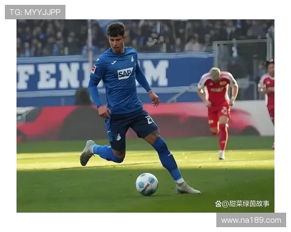 霍芬海姆德甲征程回顾与当前战绩分析